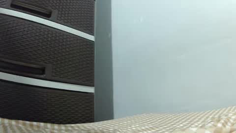 Snapshot of 88vanilla88 chatting on January 31, 10:31 am 88vanilla88 online show from January 31, 10:31 am