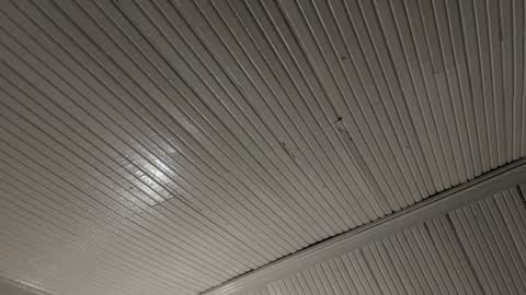 Aurora online show from January 9, 6:36 pm