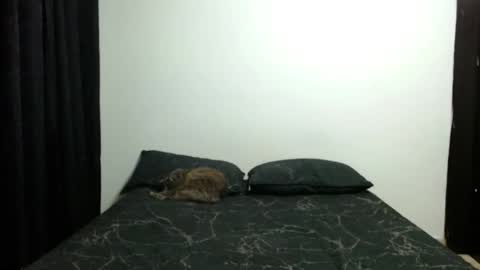 Sofia Parker online show from October 28, 3:40 pm