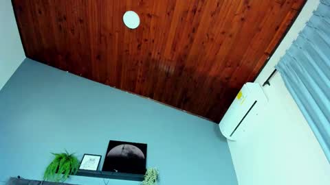 A B B Y online show from February 4, 11:35 am