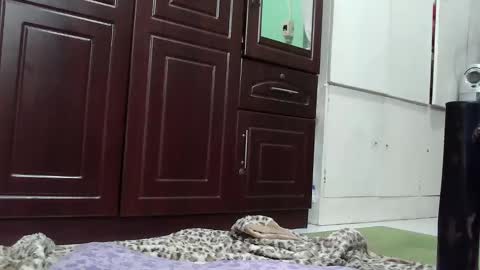 annelovesu online show from December 19, 10:24 pm