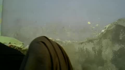 pink online show from April 11, 7:45 am