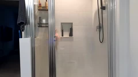 Alexi online show from January 9, 12:41 pm