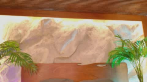 Alison Moon  online show from March 25, 10:45 pm