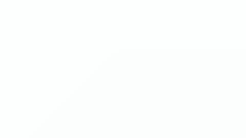 Ally online show from February 18, 11:20 am