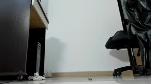 ALMA FENIX  online show from February 13, 2:30 pm