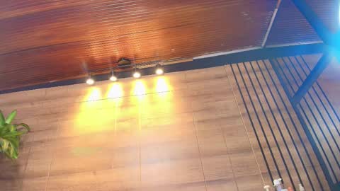 sopie online show from March 14, 11:44 am