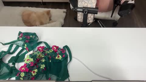 Amber online show from February 12, 12:34 am