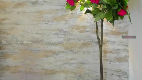  AMELIA.  online show from March 17, 1:31 am