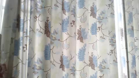 rosario online show from February 4, 3:47 pm