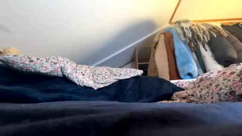 Angelica online show from November 13, 11:37 pm