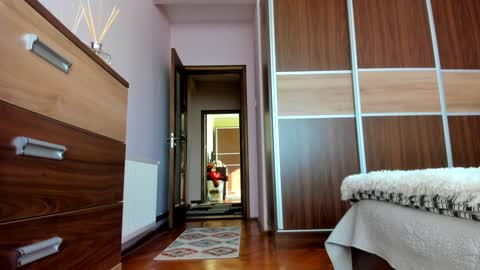 Angelina online show from January 18, 11:43 am