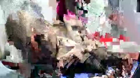 anna_ellen22 online show from September 21, 10:08 pm