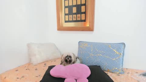 Snapshot of annavalente_ chatting on March 4, 2:10 pm anna online show from March 4, 2:10 pm