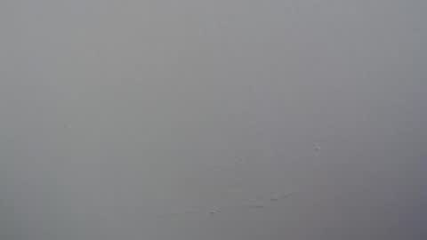 ariannaloovel online show from April 11, 6:00 pm