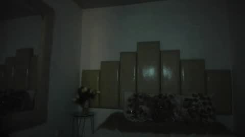 ashley online show from April 14, 1:49 am