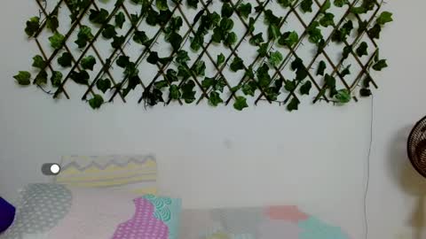 ashley online show from February 23, 11:47 am