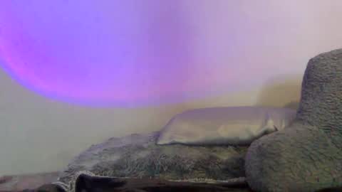 baddiejess618433 online show from January 4, 5:16 am