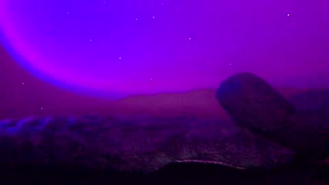 baddiejess618433 online show from January 11, 3:44 am