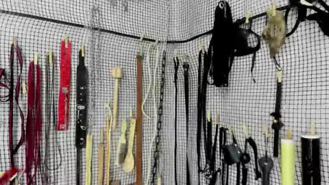 Meduza  online show from February 20, 6:19 am