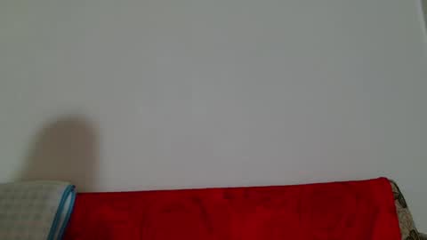 fuckharddadyback online show from January 16, 5:47 am