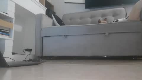 Snapshot of bella_sexy_feet chatting on October 24, 6:53 am bella_sexy_feet online show from October 24, 6:53 am
