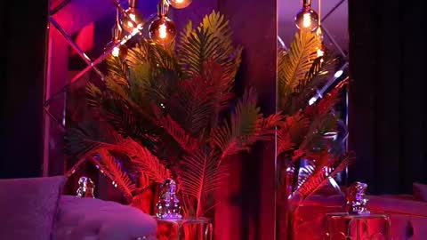 Bella online show from January 31, 7:11 pm