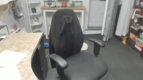 Bellavoca online show from November 4, 1:43 am