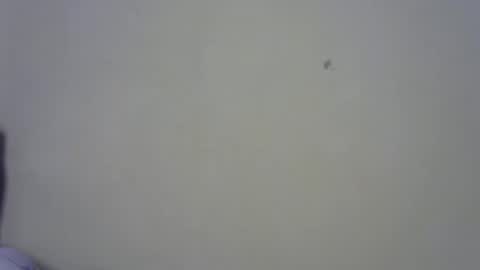 breelia online show from March 22, 2:17 am