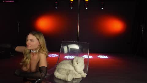 Bubble  gum  online show from November 18, 9:49 pm