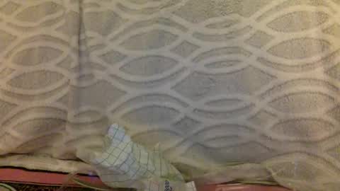 Cail Summer online show from January 11, 4:17 am