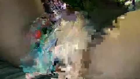 calypsorabbit360 online show from April 14, 2:11 am