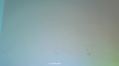 Char online show from February 20, 5:17 am