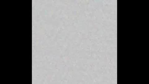 Charlotte online show from December 22, 8:45 pm