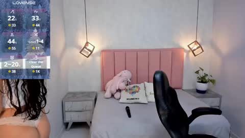 Snapshot of chelsyquinn chatting on January 25, 4:23 am Camila online show from January 25, 4:23 am