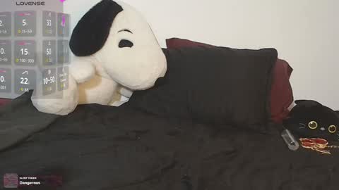 Cherry  online show from December 20, 5:50 pm