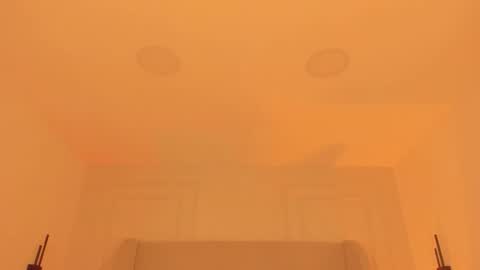 Chloe online show from December 14, 12:33 pm