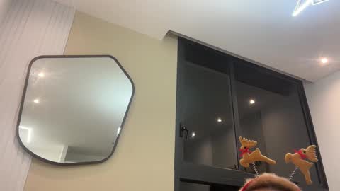 Snapshot of chocolatecakequeen chatting on December 9, 12:12 am ChocolateCakeQueen online show from December 9, 12:12 am