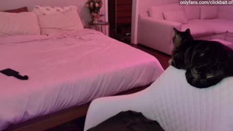 clickbait_ online show from November 23, 2:30 pm