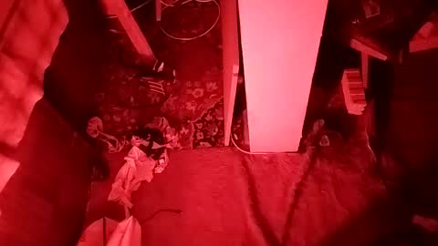 Cocolino  online show from April 12, 5:16 pm