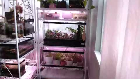 ANR Mommy online show from November 14, 3:45 pm