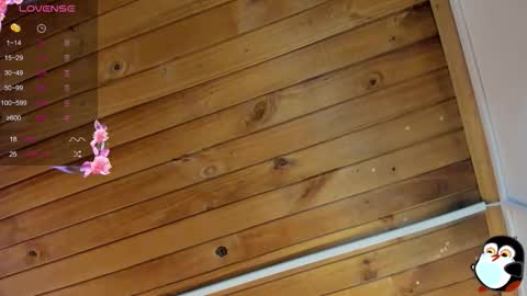 Cristal online show from November 7, 4:07 am