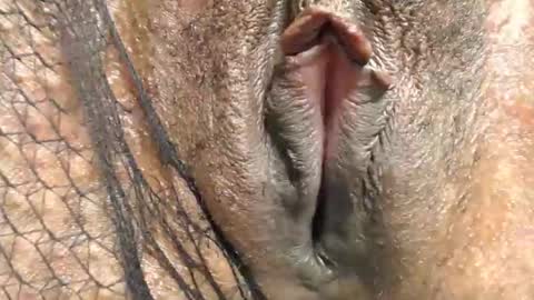 Nambuusi Irene online show from February 22, 2:23 am