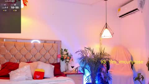 Rose online show from November 3, 9:41 pm