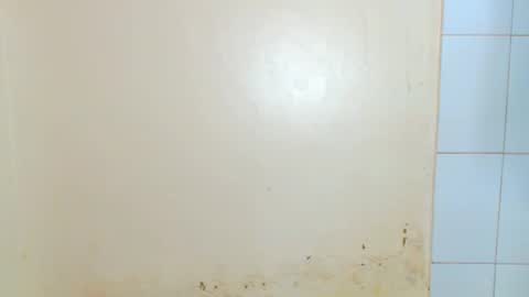 tee online show from October 12, 1:52 am