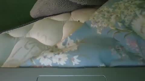 daisnconfusion_ online show from March 6, 7:10 pm