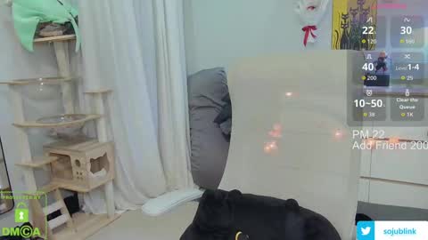 Daisy online show from April 20, 8:06 am