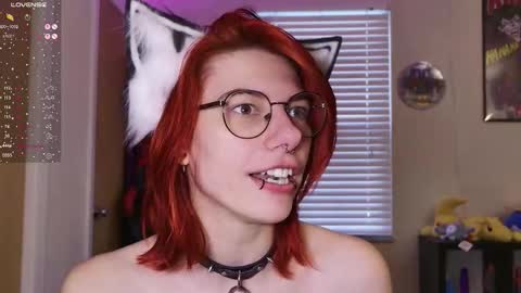 Rat online show from February 17, 3:44 pm