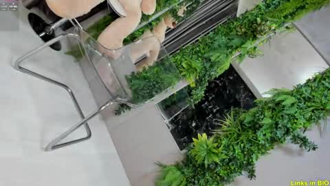 Jo online show from January 25, 11:32 pm