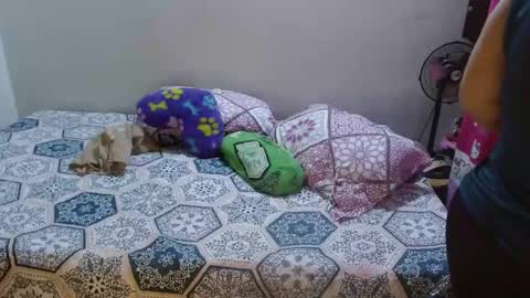 dulce online show from March 6, 11:58 am